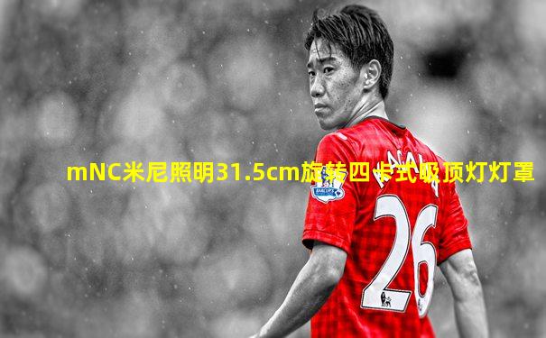 mNC米尼照明31.5cm旋转四卡式吸顶灯灯罩