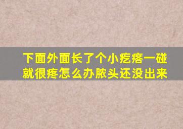 下面外面长了个小疙瘩一碰就很疼怎么办脓头还没出来