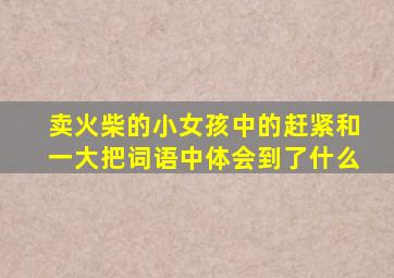 卖火柴的小女孩中的赶紧和一大把词语中体会到了什么