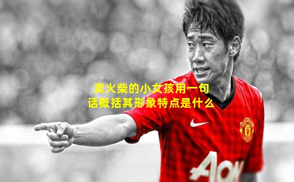 卖火柴的小女孩用一句话概括其形象特点是什么
