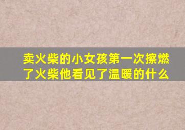 卖火柴的小女孩第一次擦燃了火柴他看见了温暖的什么