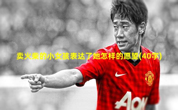 卖火柴的小女孩表达了她怎样的愿望(40字)