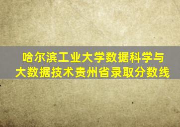 哈尔滨工业大学数据科学与大数据技术贵州省录取分数线