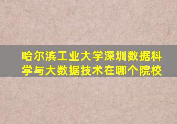 哈尔滨工业大学深圳数据科学与大数据技术在哪个院校