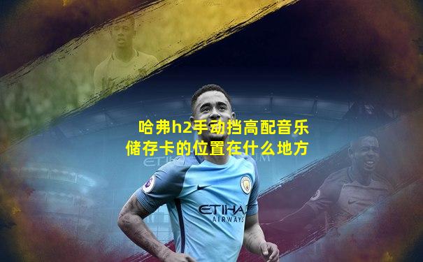 哈弗h2手动挡高配音乐储存卡的位置在什么地方