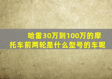 哈雷30万到100万的摩托车前两轮是什么型号的车呢