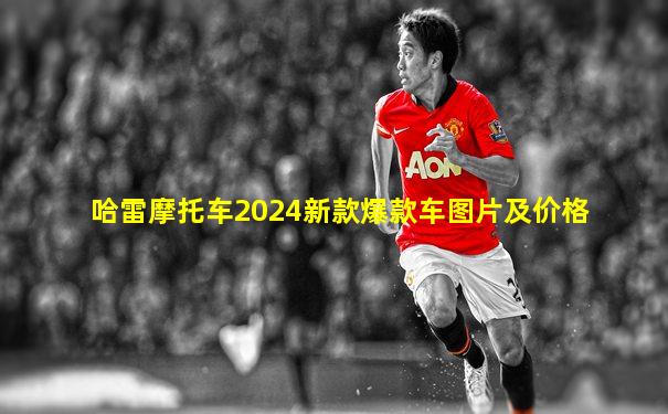 哈雷摩托车2024新款爆款车图片及价格