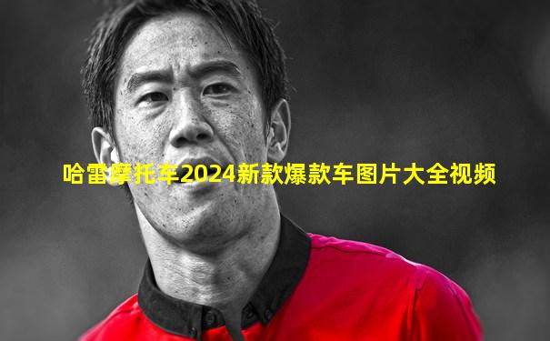 哈雷摩托车2024新款爆款车图片大全视频