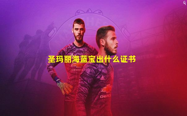 圣玛丽海蓝宝出什么证书