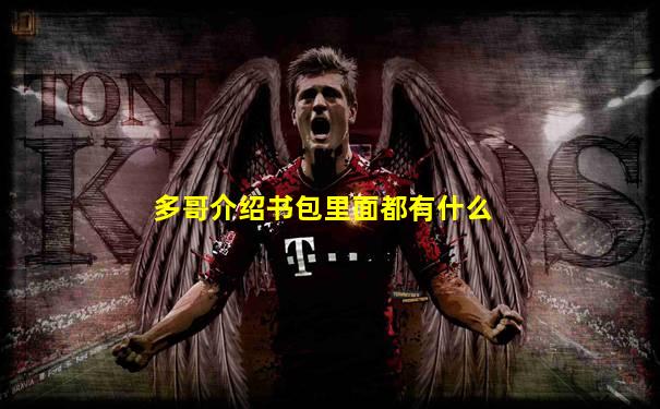 多哥介绍书包里面都有什么