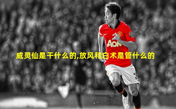 威灵仙是干什么的,放风和白术是管什么的