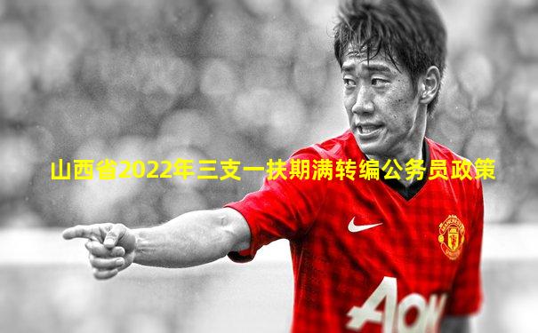 山西省2022年三支一扶期满转编公务员政策