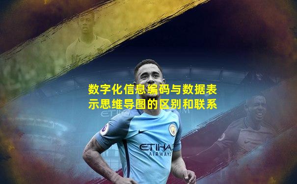 数字化信息编码与数据表示思维导图的区别和联系