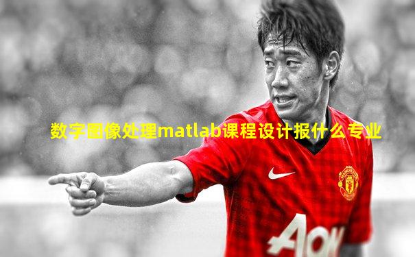 数字图像处理matlab课程设计报什么专业