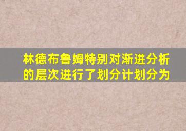 林德布鲁姆特别对渐进分析的层次进行了划分计划分为