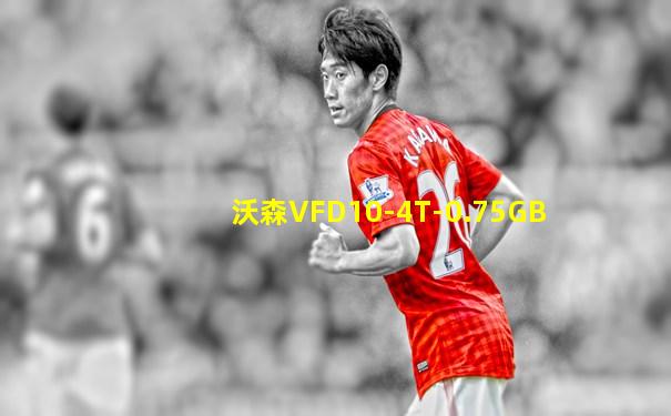 沃森VFD10-4T-0.75GB