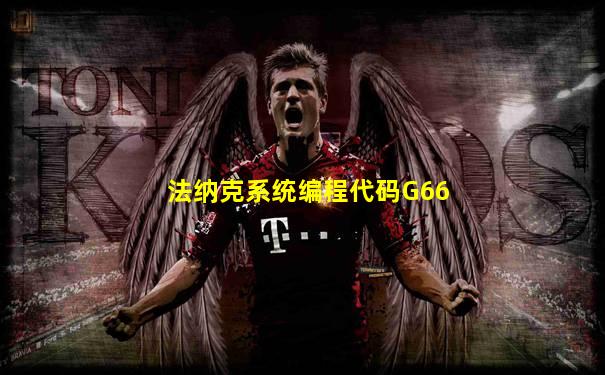 法纳克系统编程代码G66