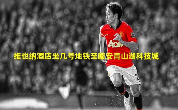 维也纳酒店坐几号地铁至临安青山湖科技城