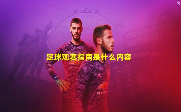 足球观赛指南是什么内容