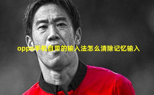 oppo手机自带的输入法怎么清除记忆输入
