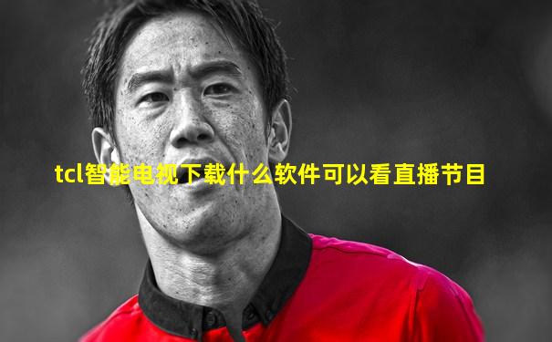 tcl智能电视下载什么软件可以看直播节目