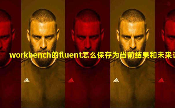 workbench的fluent怎么保存为当前结果和未来计算