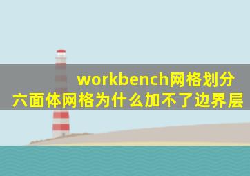 workbench网格划分六面体网格为什么加不了边界层