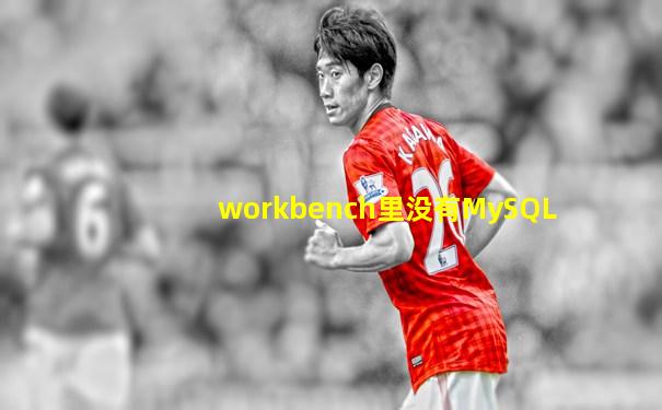 workbench里没有MySQL