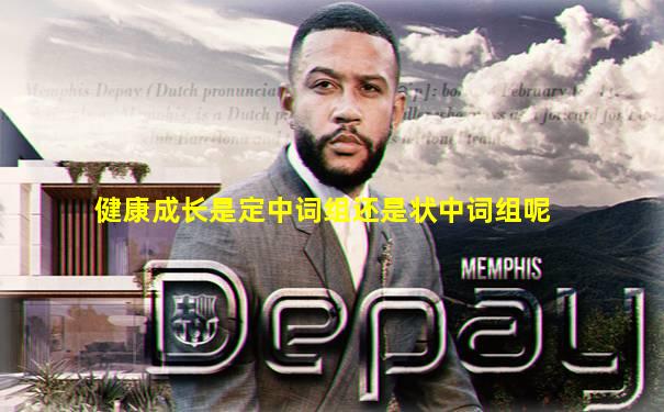健康成长是定中词组还是状中词组呢
