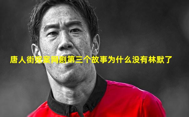 唐人街探案网剧第三个故事为什么没有林默了