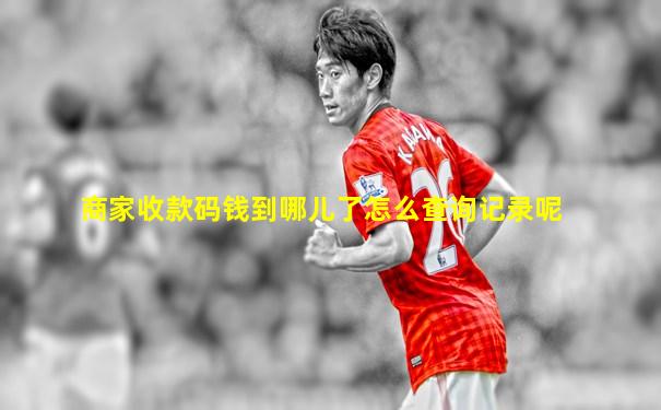 商家收款码钱到哪儿了怎么查询记录呢
