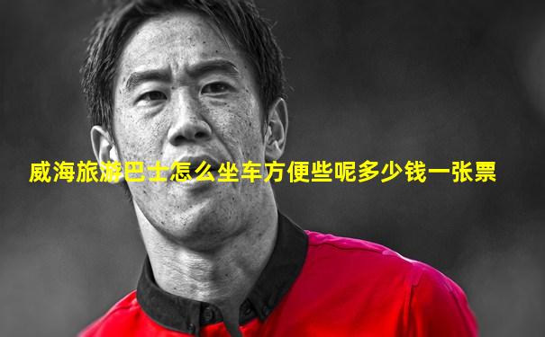 威海旅游巴士怎么坐车方便些呢多少钱一张票