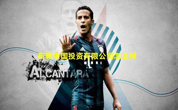 布勒中国投资有限公司怎么样