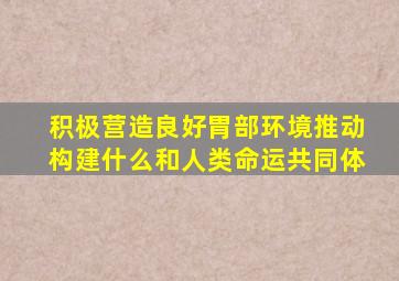 积极营造良好胃部环境推动构建什么和人类命运共同体