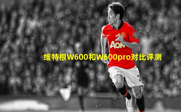 维特根W600和W600pro对比评测