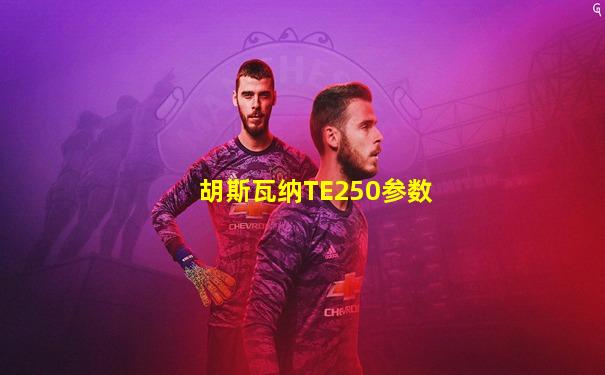 胡斯瓦纳TE250参数