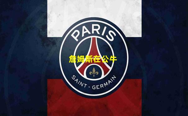 詹姆斯在公牛