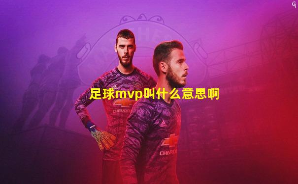 足球mvp叫什么意思啊