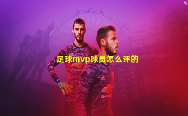 足球mvp球员怎么评的