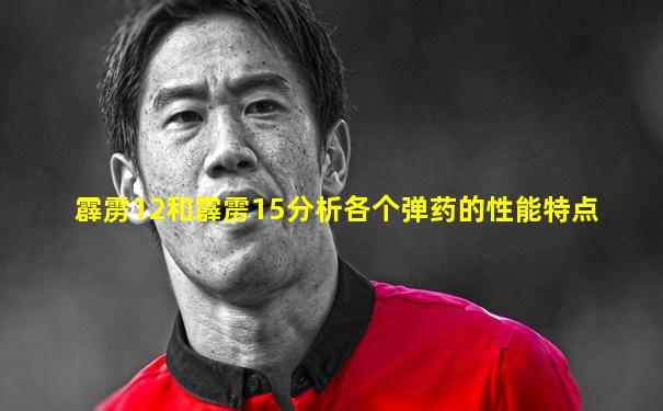 霹雳12和霹雳15分析各个弹药的性能特点