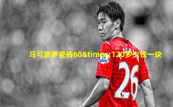 马可波罗瓷砖60×120多少钱一块
