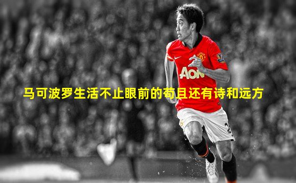 马可波罗生活不止眼前的苟且还有诗和远方